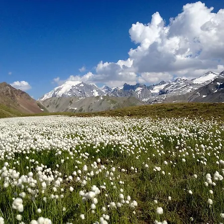 Pirovano Hotel Gebirgspass Stilfser Joch