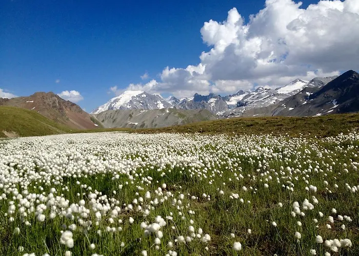Pirovano Otel Stelvio Geçidi
